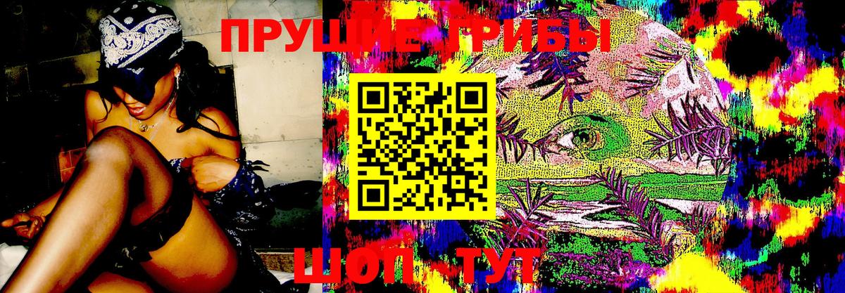 Галлюциногенные грибы мухоморы  Вход с VPN  Новоалтайск  Псилоцибиновые грибы Magic Shrooms 