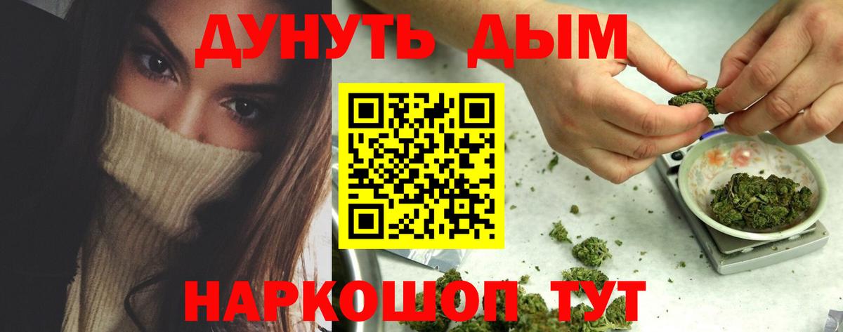 Каннабис гибрид Новоалтайск